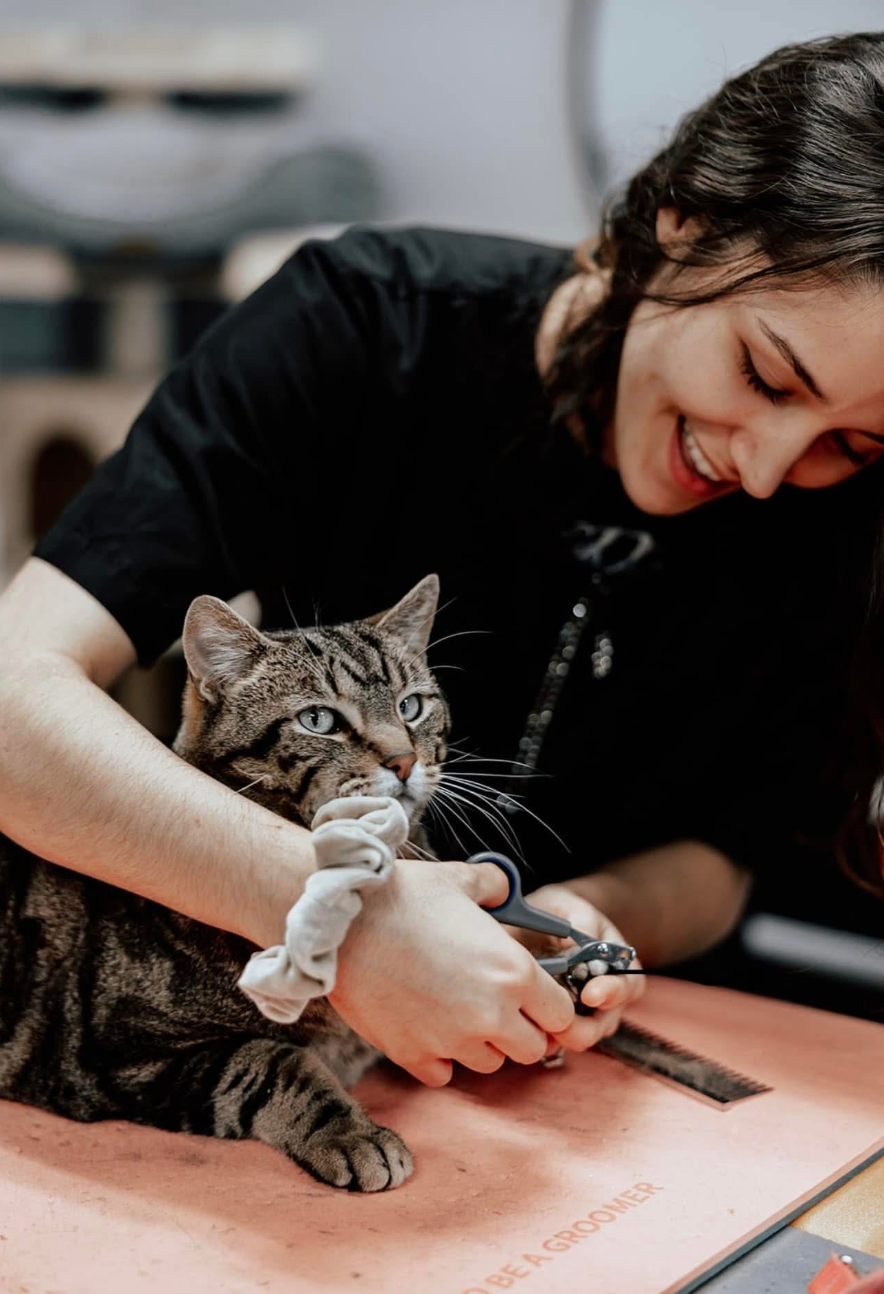 A woman is cutting a cat 's nails with a pair of scissors.
