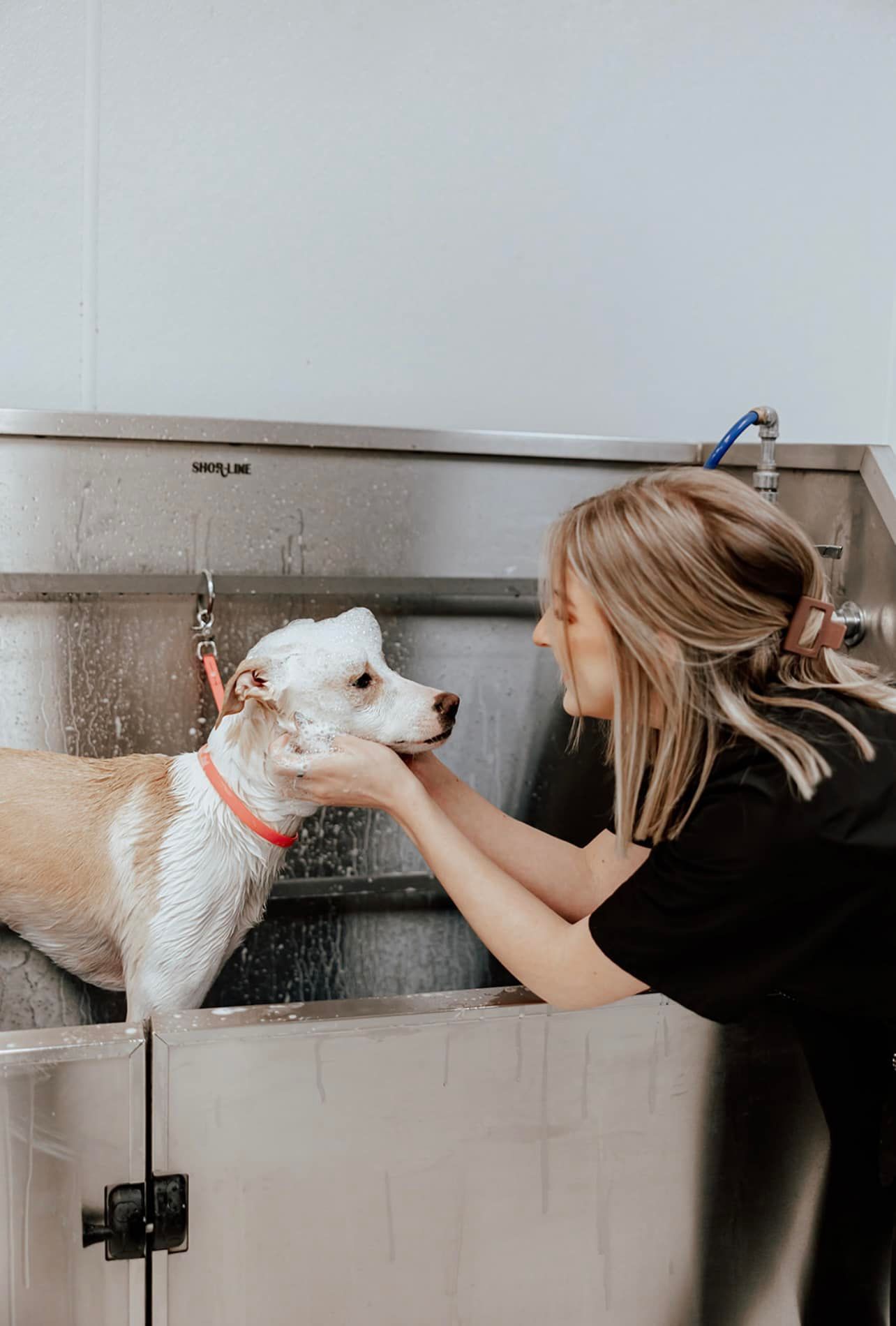 A woman is washing a dog in a bathtub.