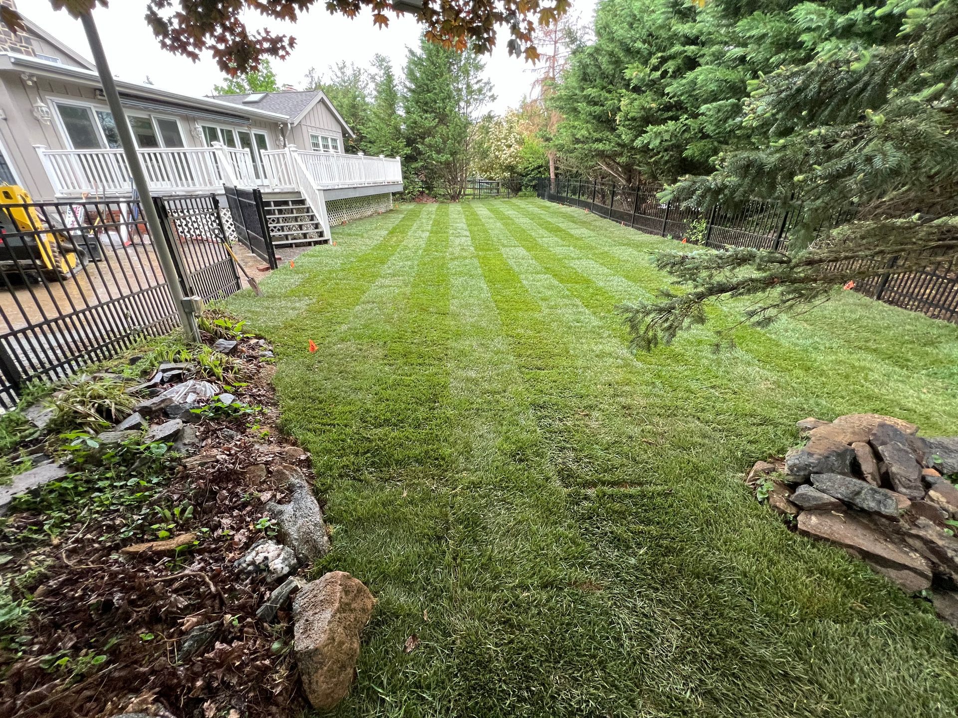 Green backyard lawn beside a white deck, bordered by trees, a fence, and stone garden beds