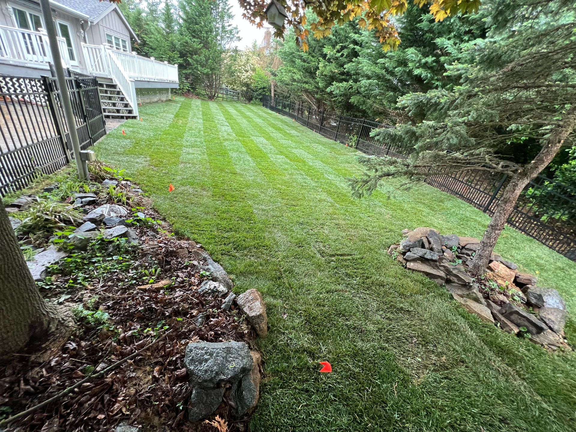 Backyard lawn with striped grass, a deck on the left, and landscaped rock borders.