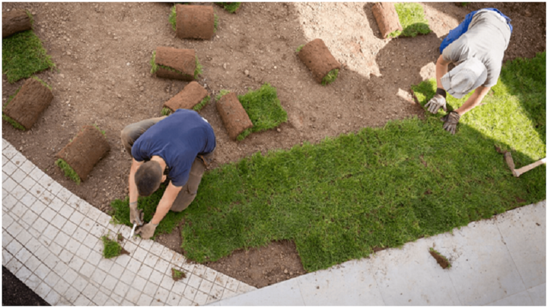 Two people landscaping a garden, planting near a green lawn and tiled walkway.