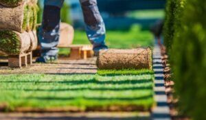 Rolled sod being laid in a yard, with a worker’s legs visible in the background