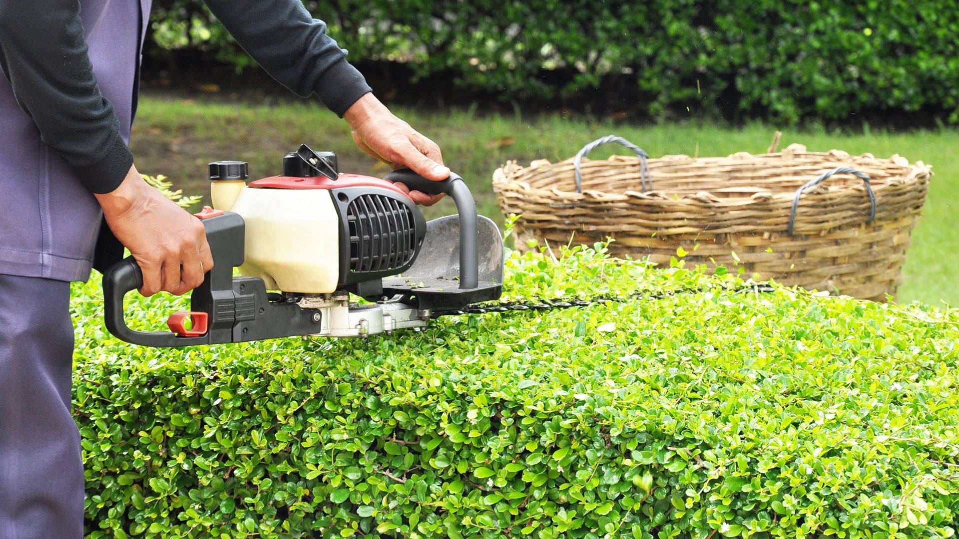 Landscape Maintenance