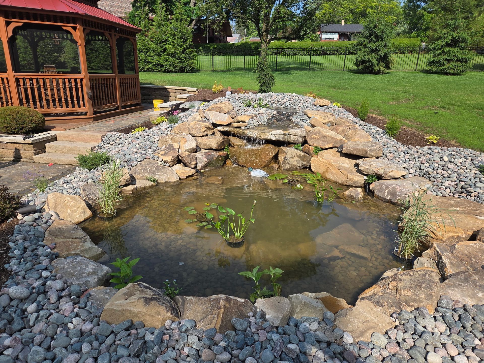 A pond surrounded by rocks and plants in a backyard with a gazebo in the background.