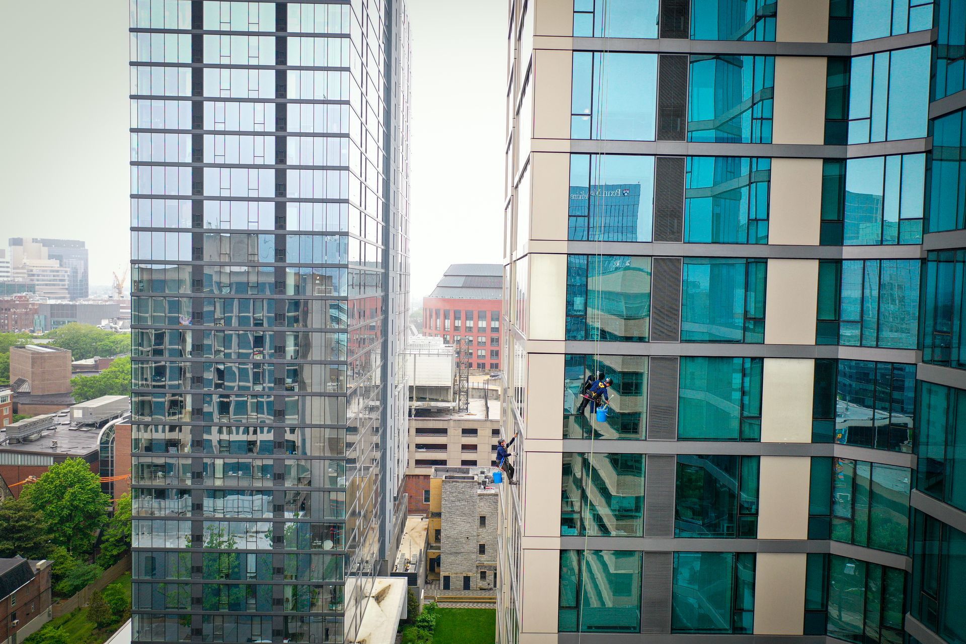 Commercial Window Cleaning