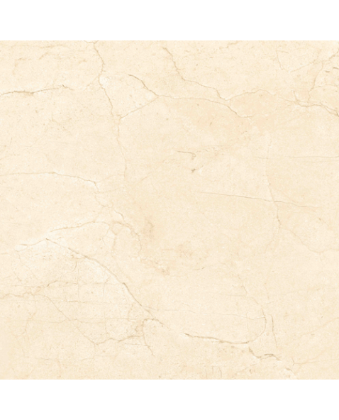 A close up of a beige marble tile on a white background.