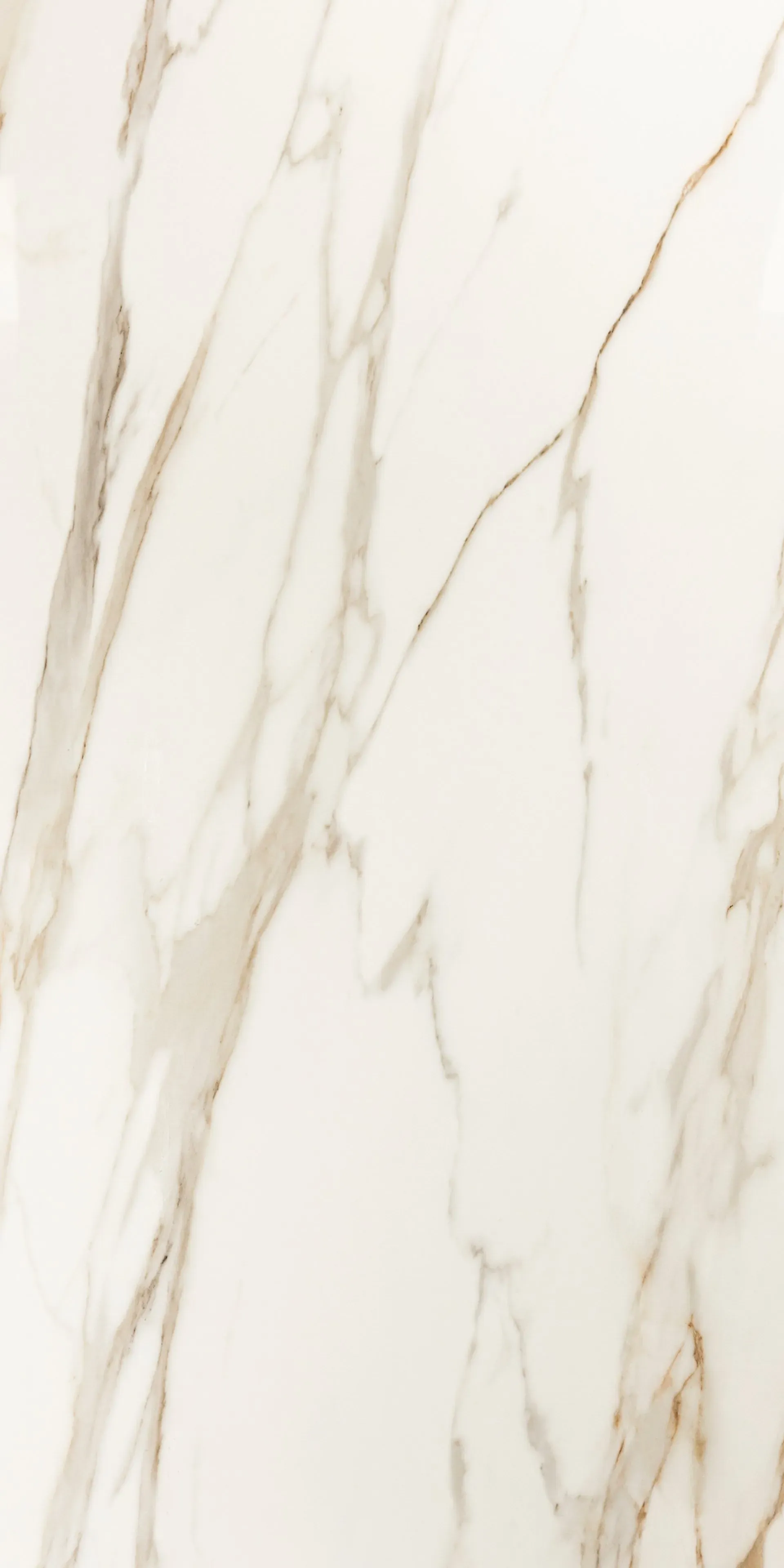 A close up of a white and gold marble tile.
