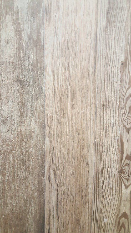 Saddlewood Pinto 314