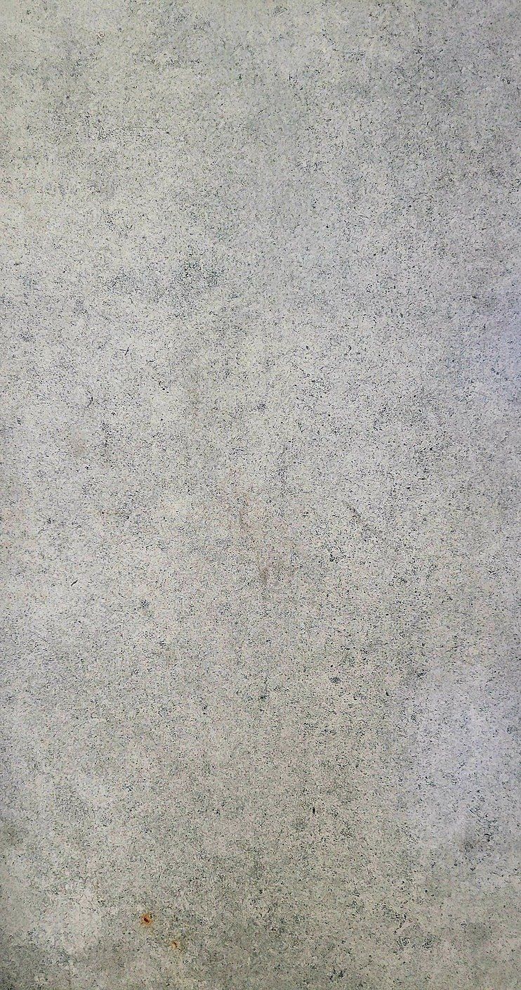 16x24 HLS 205 Porcelain Paver