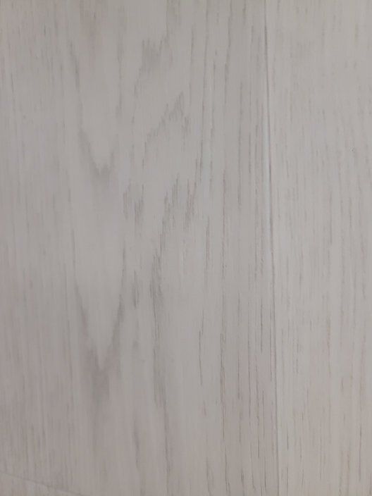 MUSEUM WARHOL SPC 26 MIL