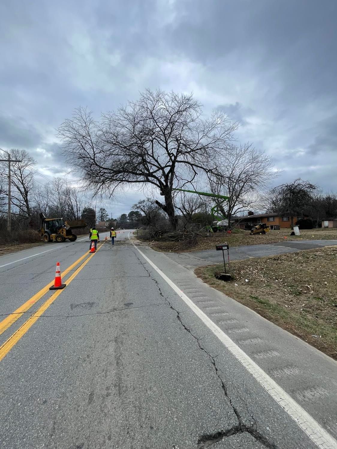 Road closed for tree trimming; workers in vests and heavy machinery on the road under a bare tree.