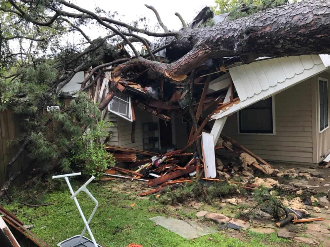 Tree fallen on a house, destroying the roof and causing significant damage.