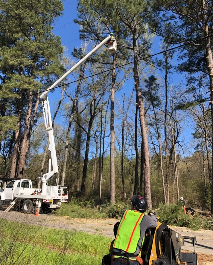 Utility truck trimming trees near power lines; workers in safety vests.