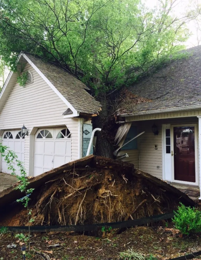 Tree uprooted, fallen onto and damaging the roof of a light-colored house with two garage doors.