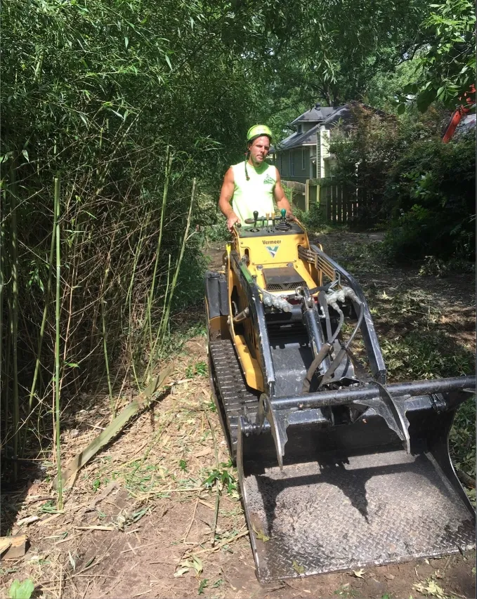 Man operating a small bulldozer clearing bamboo in a yard, wearing a safety vest and helmet.