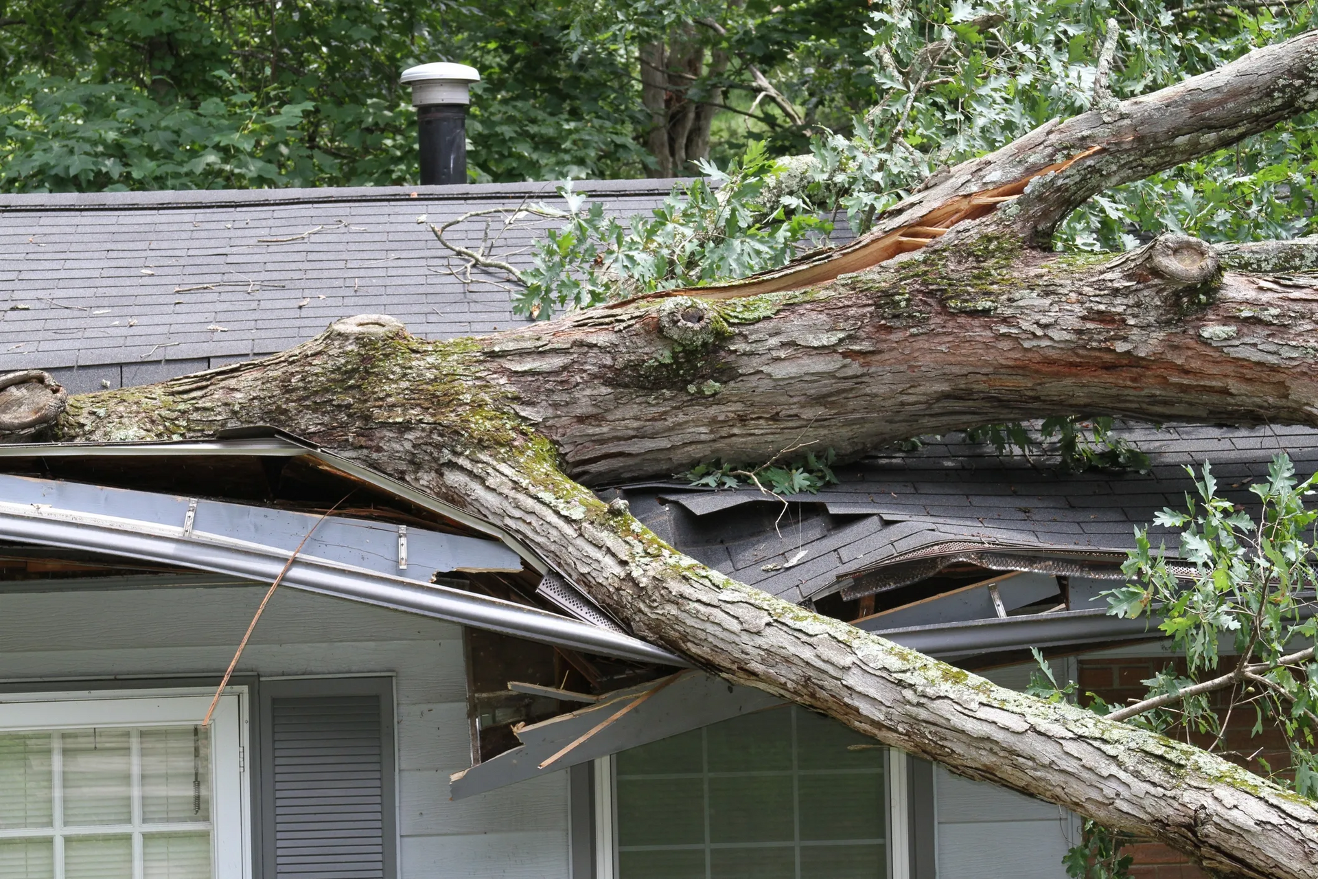 A tree branch has fallen onto a house roof, damaging the shingles and roof.