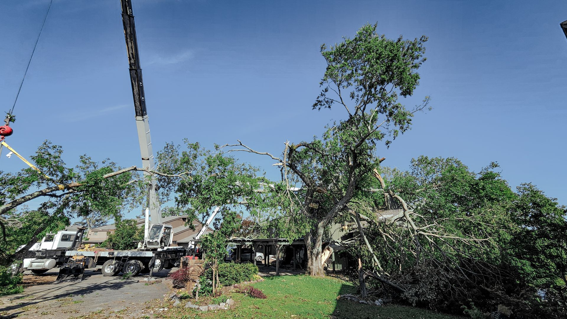 A crane trimming a large tree near a house on a sunny day.
