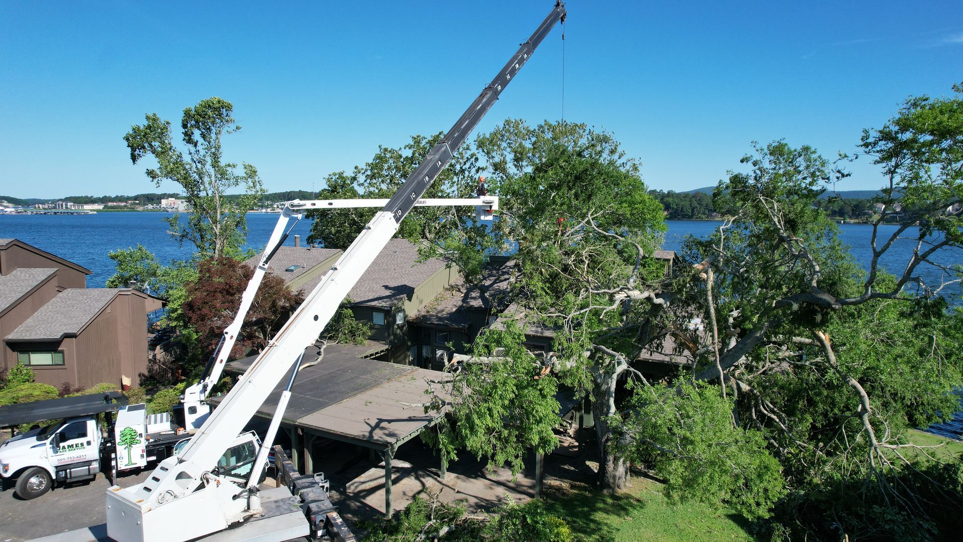 Crane removing tree branches over a house near a lake. White truck, blue water, green trees and brown roofs.