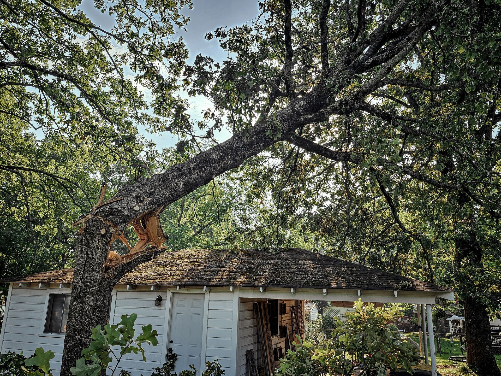 Tree limb broken, resting on small white house. Sunny day, green foliage.