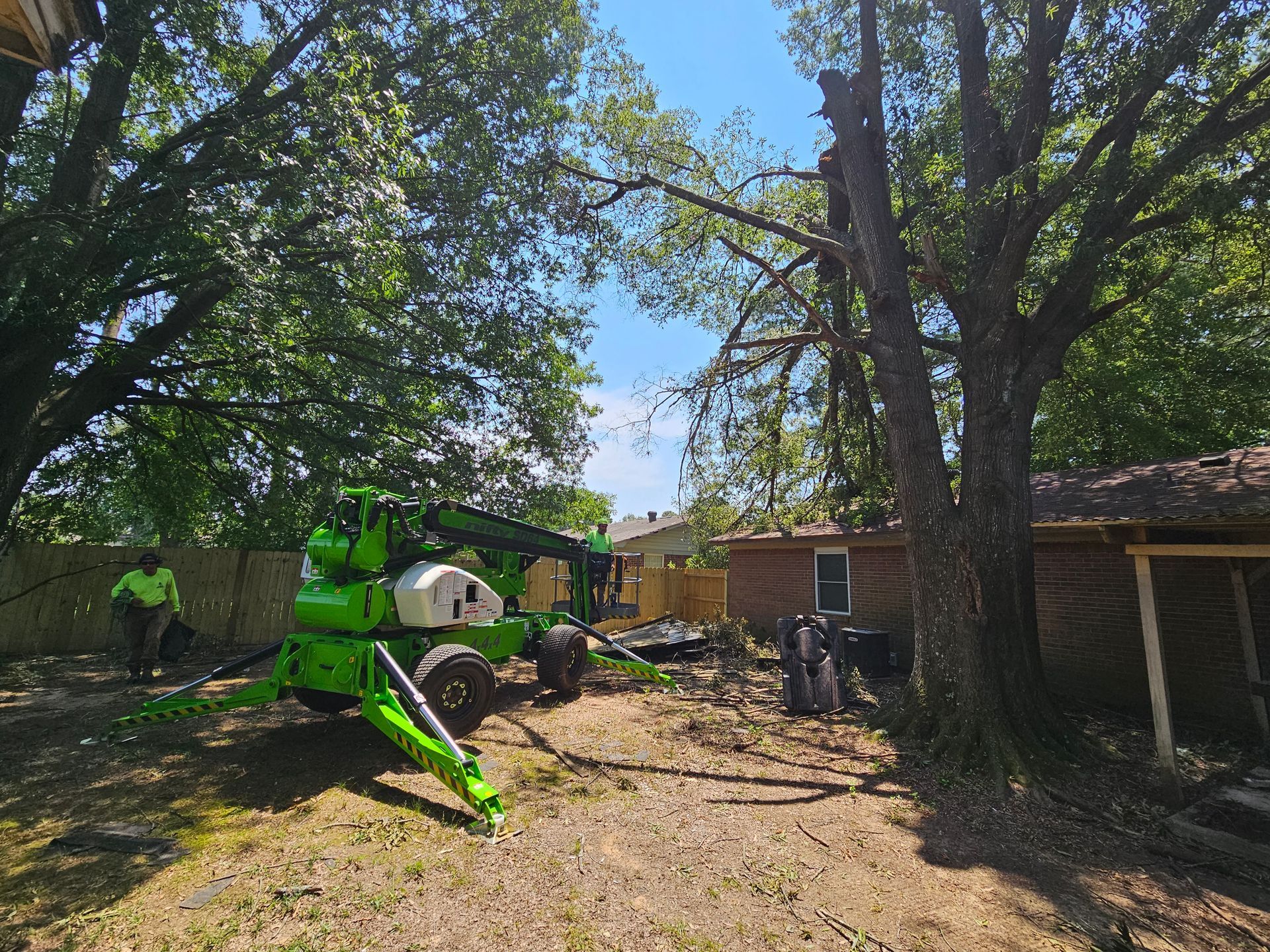 A green lift truck trims a large tree in a backyard; a house sits behind the tree.