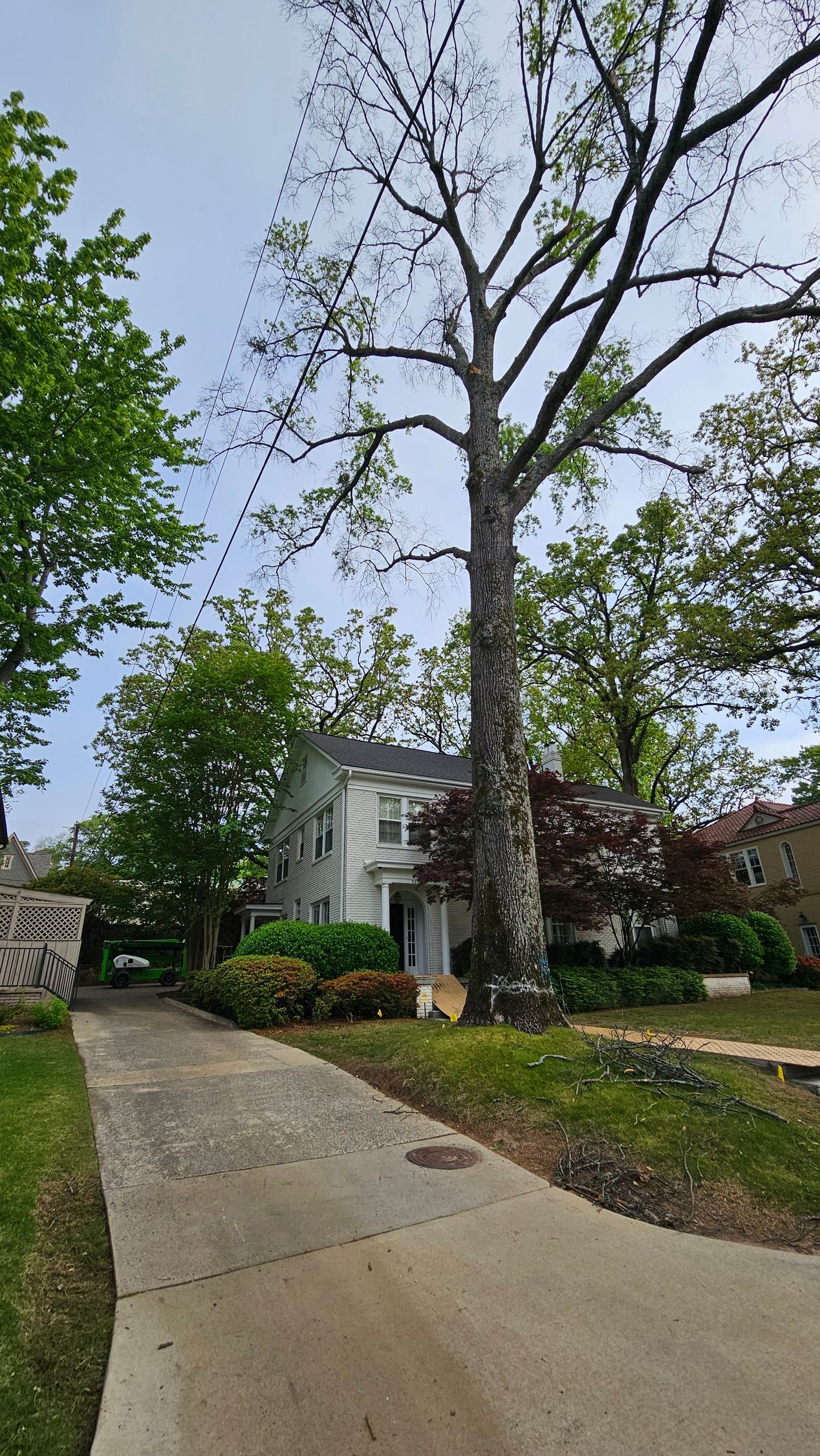 Driveway leads to a two-story house; a tall, bare tree stands in front of it. Green trees flank the scene.