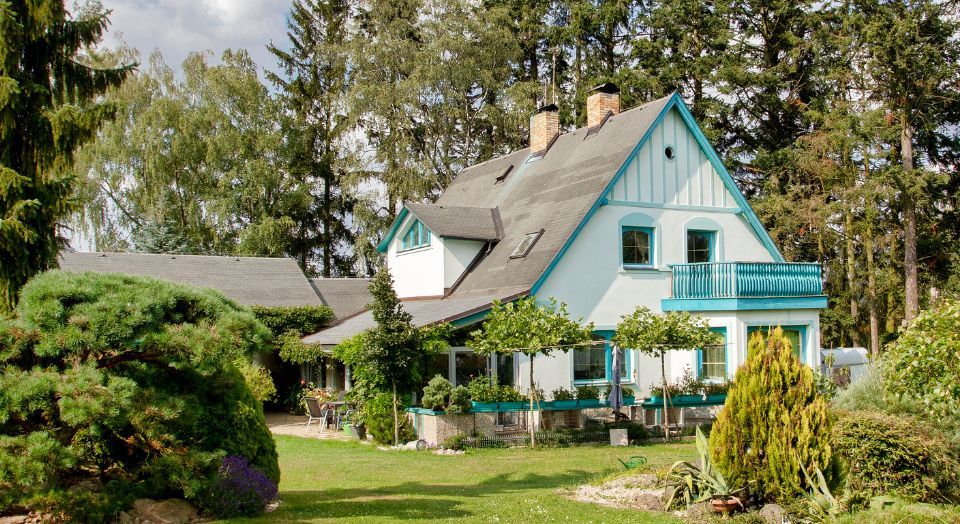 A large house with a blue roof is surrounded by trees