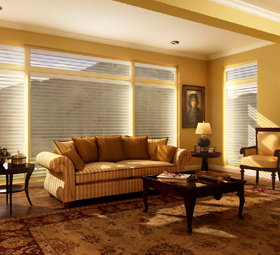 Living room with blinds - Window Concepts by Annalisa Winter Haven, FL
