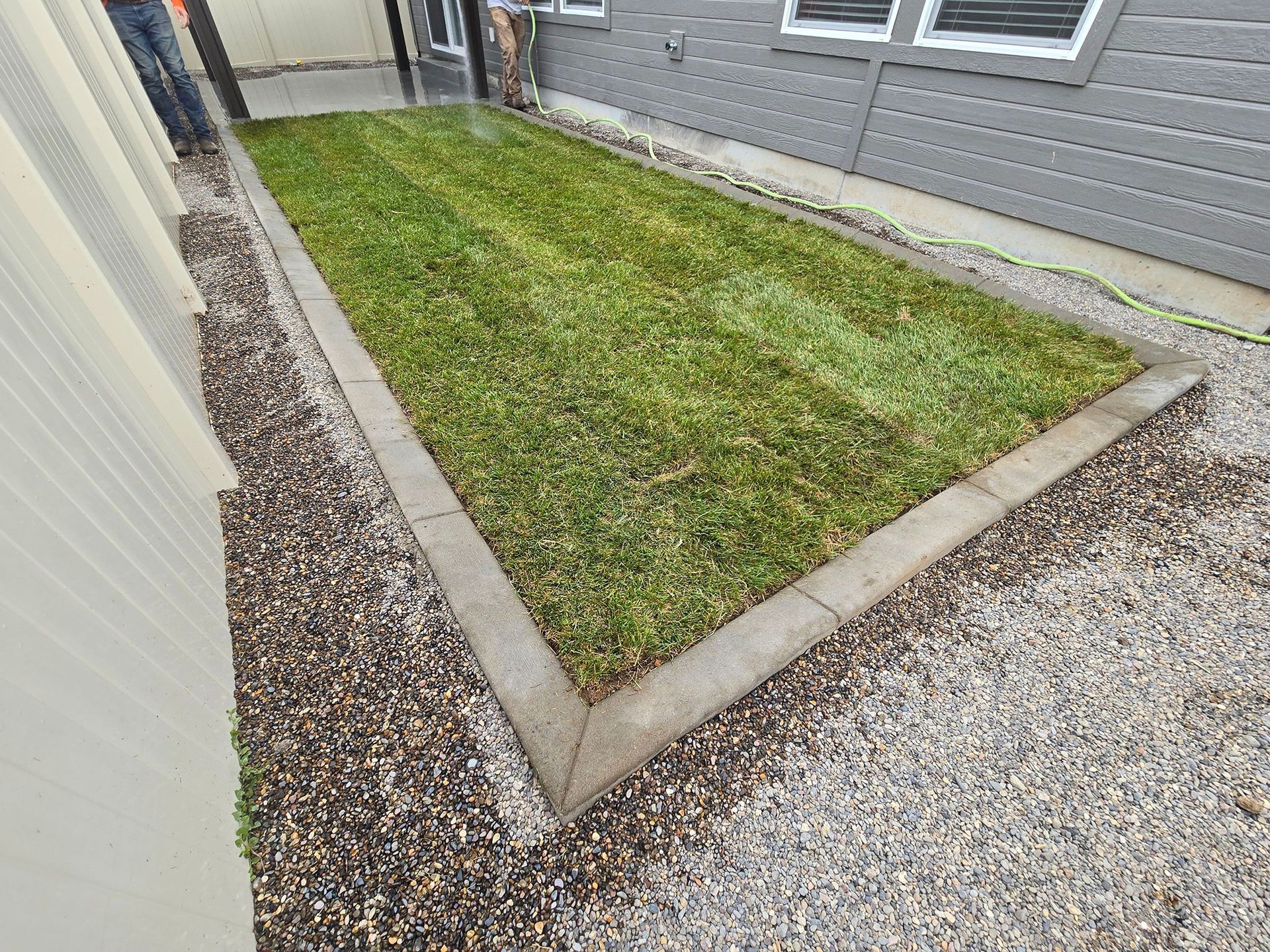 Rectangular patch of green grass bordered by concrete and gravel against a gray building.