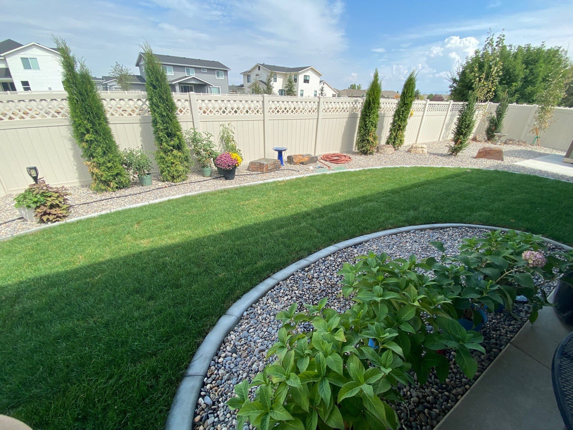 Green backyard with lawn, gravel border, shrubs, trees, and tan fence under a blue sky.