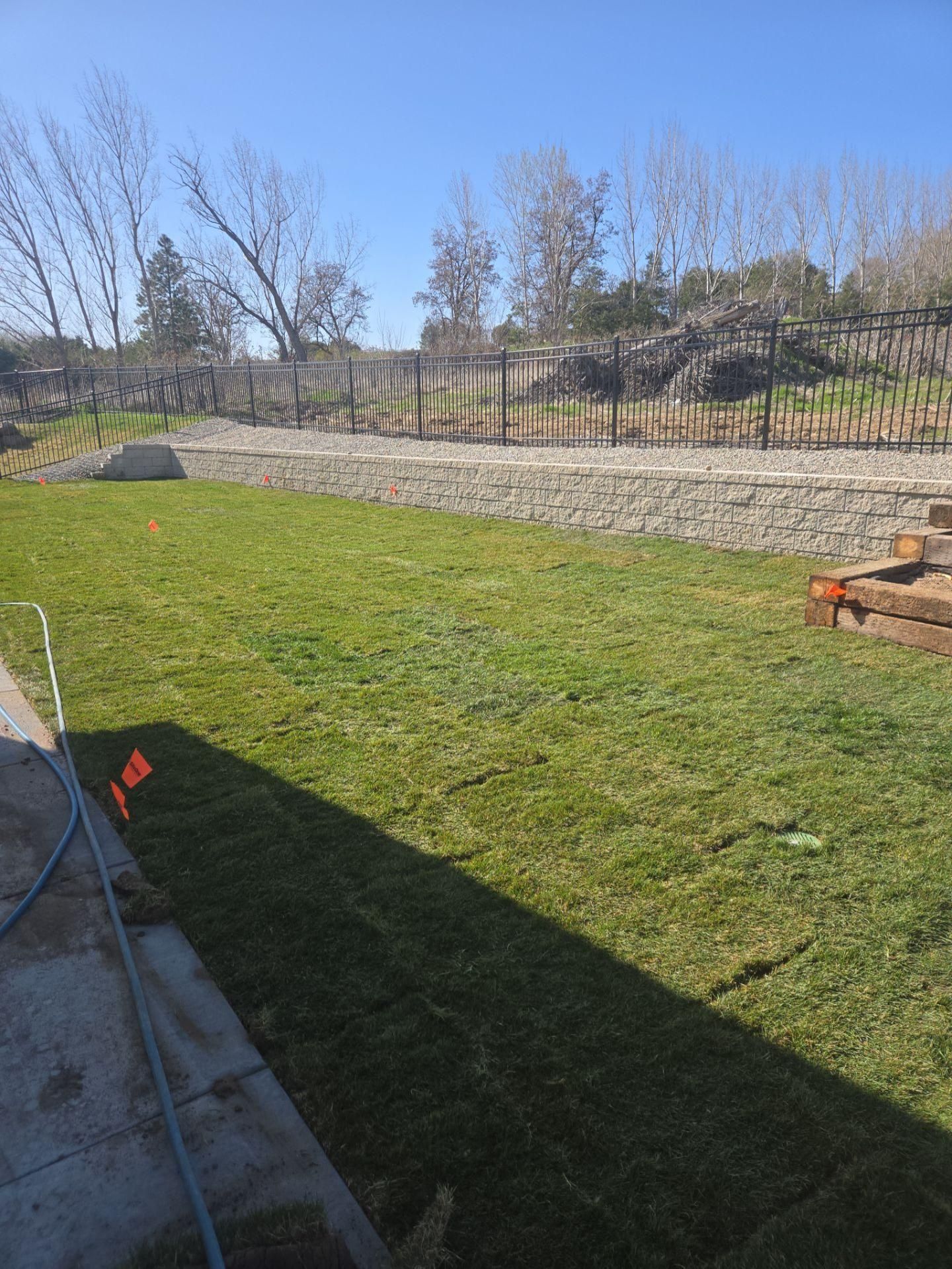 Green lawn with a stone retaining wall and a wooden fence in the background under a blue sky.
