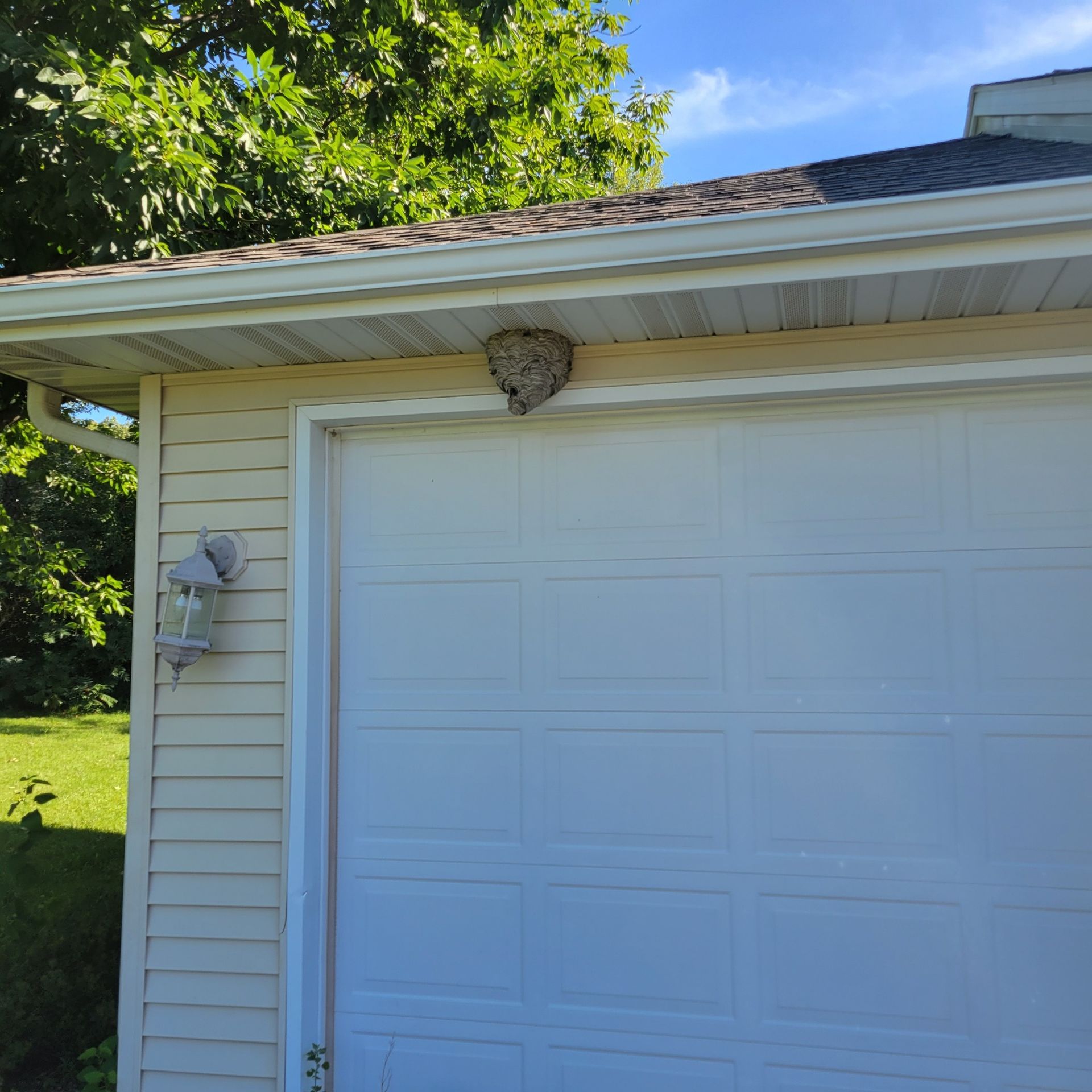Wasp nest attached to the soffit of a garage, next to the garage door and a bird feeder.