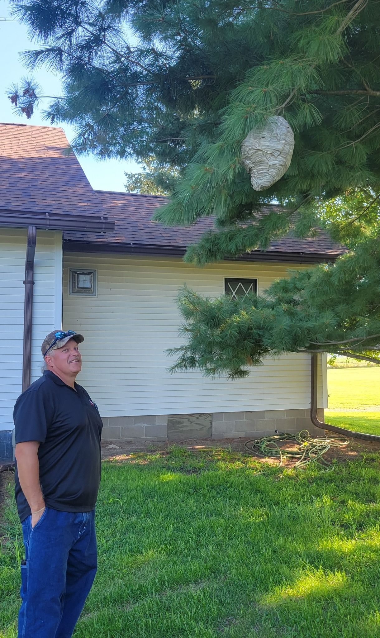 Man looking up at large wasp nest in a tree near a house.