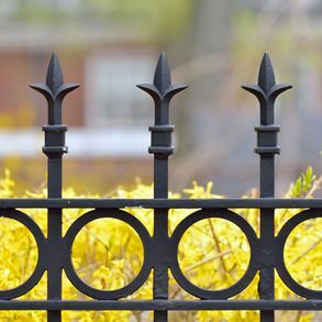 Ornamental railings