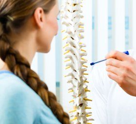 Spinal Cord Education