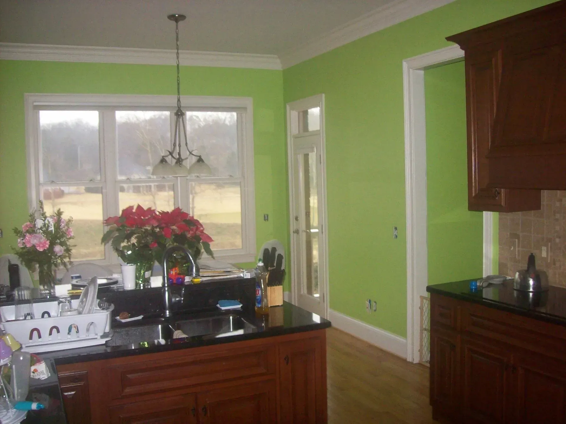 Green-painted kitchen with dark countertops and cabinets, white trim, and a window overlooking a rural landscape.