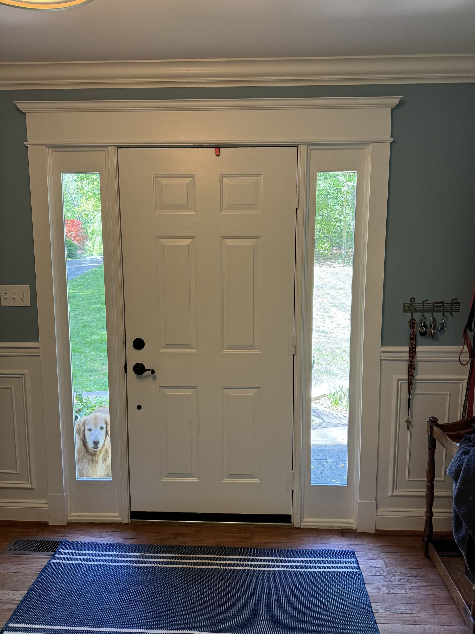 White front door with sidelights and trim, blue rug, and light blue walls.