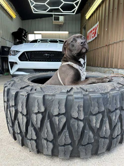 Buchanan Trail Auto & Tire