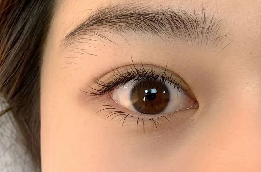 Close-up of a brown eye with long lashes and a full, arched eyebrow on a pale face.