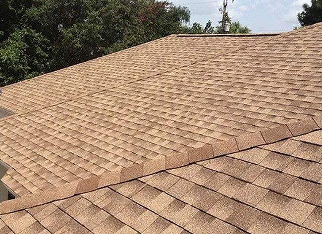 Shingle Roof