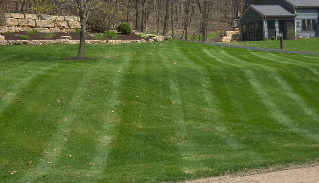 Freshly mowed green lawn with striped patterns beside a house and trees