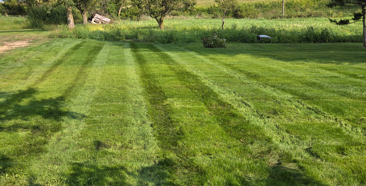 Lush green lawn with striped mowing lines beside a grassy field and trees in the background