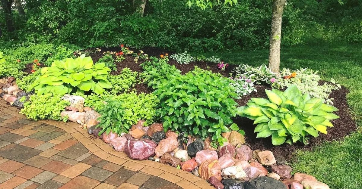 Curved garden bed with lush green plants and pink rocks beside a brick walkway.