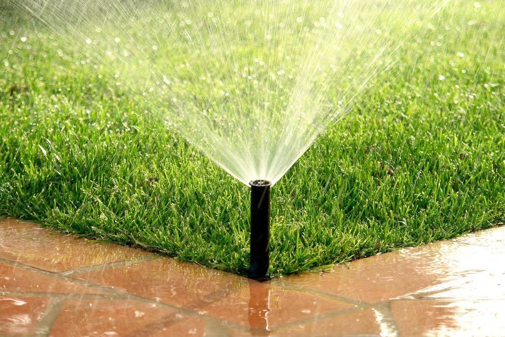 Garden sprinkler spraying water onto green grass beside a wet brick patio