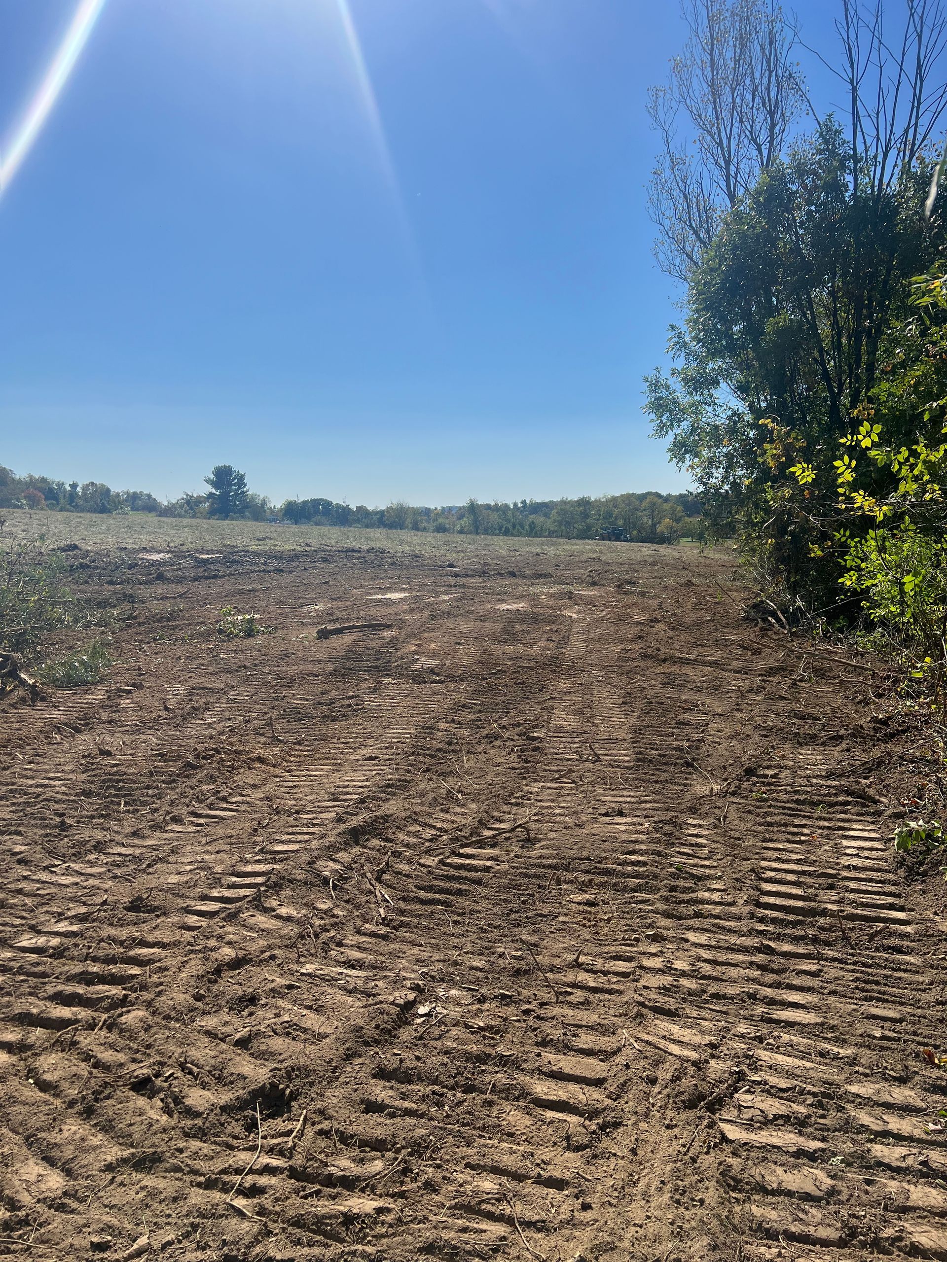 A large dirt field with trees in the background on a sunny day.