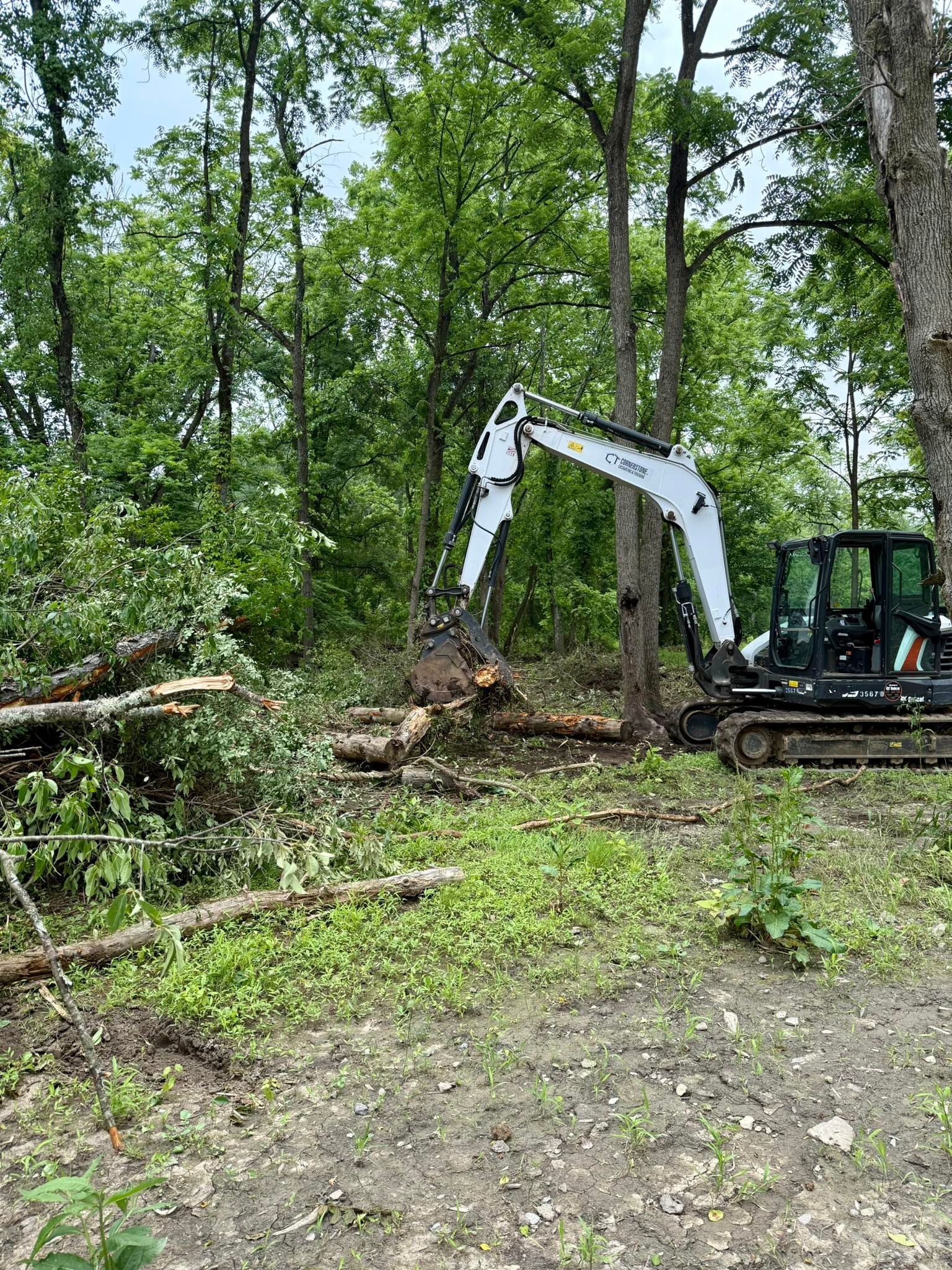 A Bobcat excavator clearing fallen trees in a wooded area. The machine is white and black with a large claw.