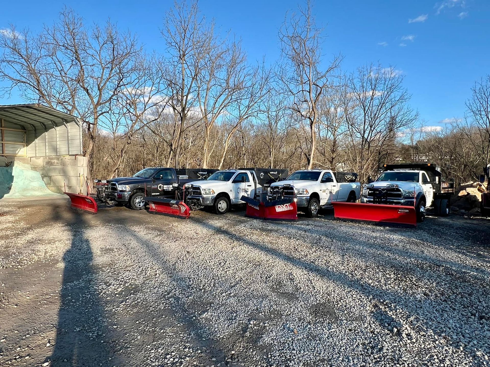 Snowplow trucks parked in a gravel lot, ready for winter. Four white trucks and one gray truck with red plows are lined up. Bare trees in the background.