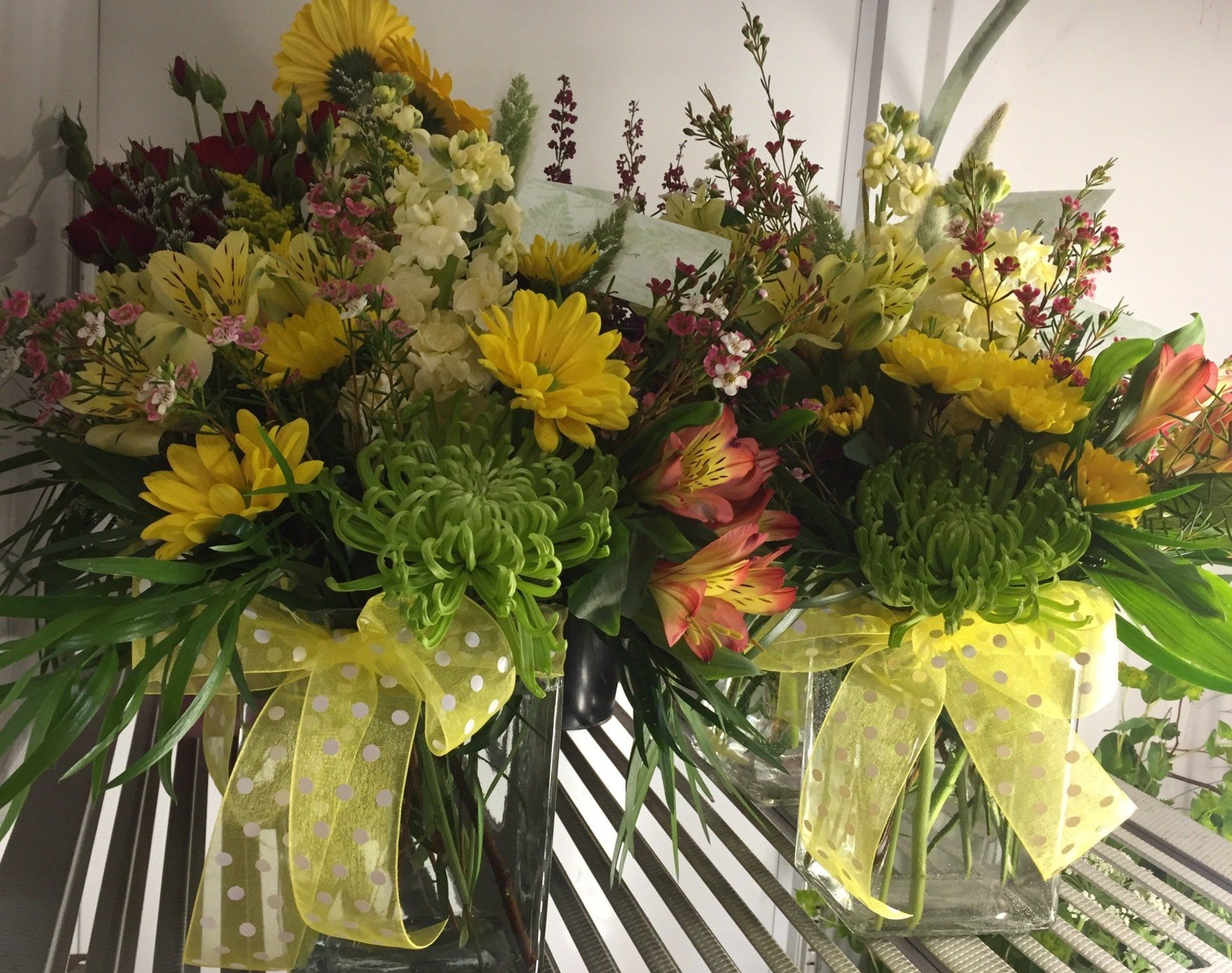 Everyday Arrangements Vases Gunnison, CO