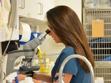 Scientist using a microscope in a laboratory with shelves and equipment in the background