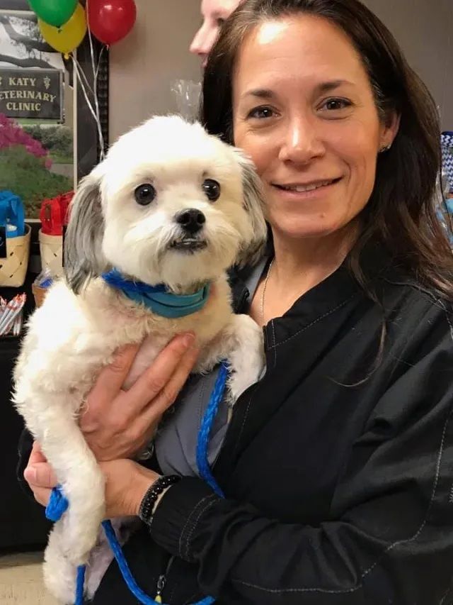 Woman holding a small white dog with a blue collar indoors, both facing the camera.