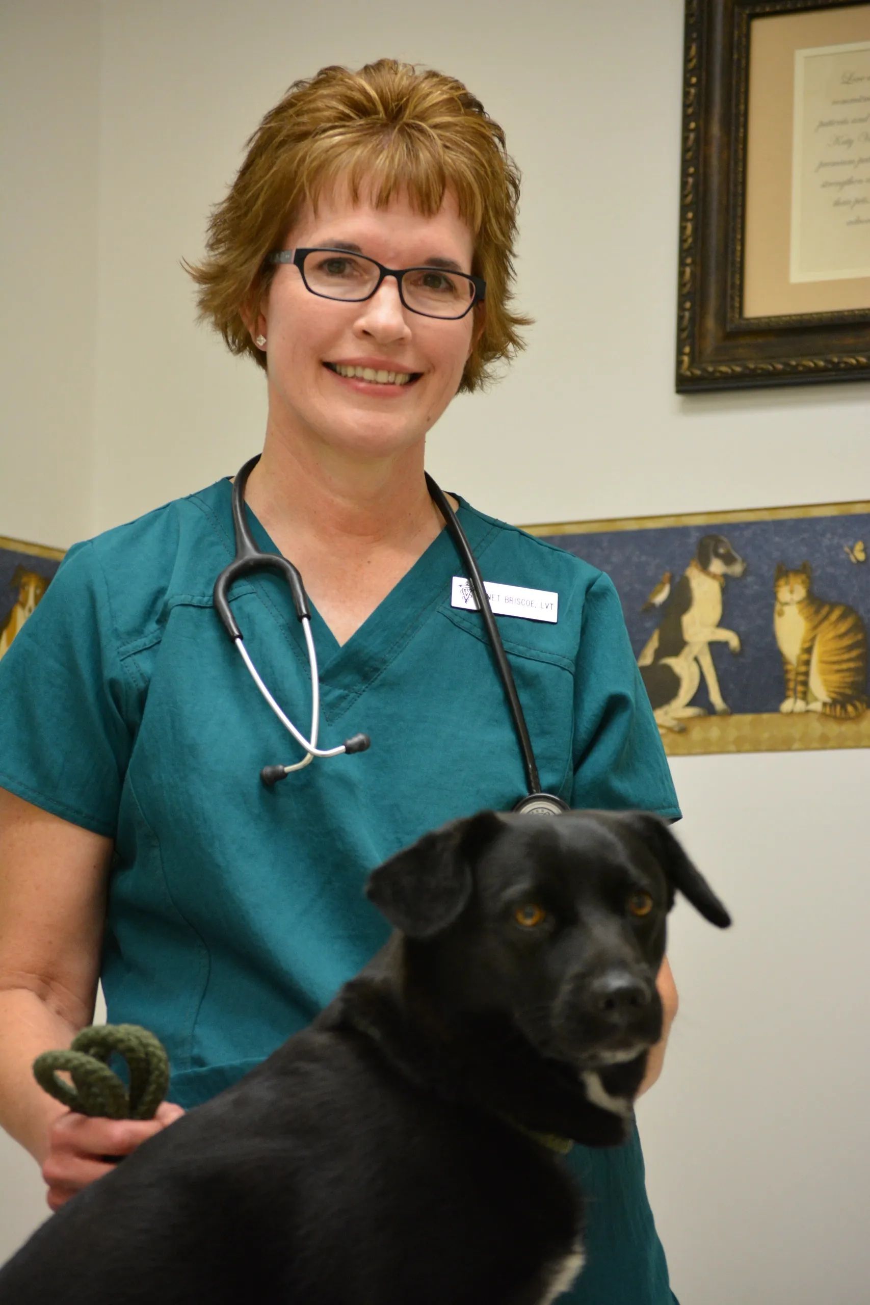Veterinarian in teal scrubs holding a black dog in a clinic